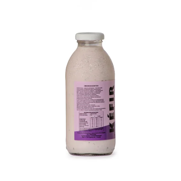 Kefir con Arandanos 500 Ml Simbiose