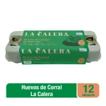 Imagen anterior del producto